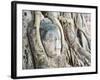 Stone Buddha Head in Fig Tree, Wat Mahathat, Ayutthaya City, UNESCO World Heritage Site, Thailand-Matthew Williams-Ellis-Framed Photographic Print