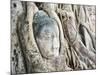 Stone Buddha Head in Fig Tree, Wat Mahathat, Ayutthaya City, UNESCO World Heritage Site, Thailand-Matthew Williams-Ellis-Mounted Photographic Print