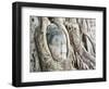 Stone Buddha Head in Fig Tree, Wat Mahathat, Ayutthaya City, UNESCO World Heritage Site, Thailand-Matthew Williams-Ellis-Framed Photographic Print