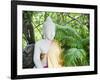 Stone Buddha in the Silver Pagoda at the Royal Palace, Phnom Penh, Cambodia, Indochina-Matthew Williams-Ellis-Framed Photographic Print