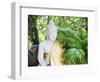 Stone Buddha in the Silver Pagoda at the Royal Palace, Phnom Penh, Cambodia, Indochina-Matthew Williams-Ellis-Framed Photographic Print