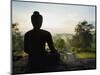 Stone Buddha Silhouetted at Sunrise, Borobudur Temple, UNESCO World Heritage Site, Java, Indonesia-Matthew Williams-Ellis-Mounted Photographic Print