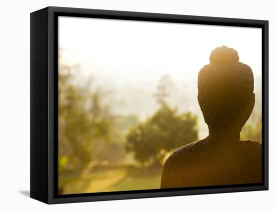 Stone Buddha Statue at Buddhist Temple, Borobudur, UNESCO World Heritage Site, Java, Indonesia-Matthew Williams-Ellis-Framed Stretched Canvas