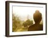 Stone Buddha Statue at Buddhist Temple, Borobudur, UNESCO World Heritage Site, Java, Indonesia-Matthew Williams-Ellis-Framed Photographic Print