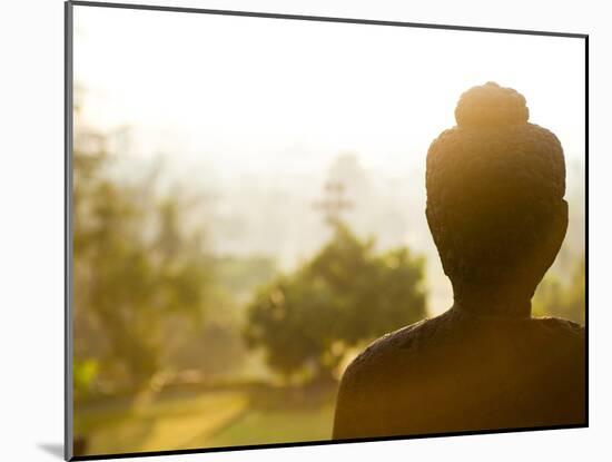 Stone Buddha Statue at Buddhist Temple, Borobudur, UNESCO World Heritage Site, Java, Indonesia-Matthew Williams-Ellis-Mounted Photographic Print