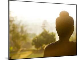 Stone Buddha Statue at Buddhist Temple, Borobudur, UNESCO World Heritage Site, Java, Indonesia-Matthew Williams-Ellis-Mounted Photographic Print