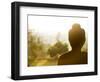 Stone Buddha Statue at Buddhist Temple, Borobudur, UNESCO World Heritage Site, Java, Indonesia-Matthew Williams-Ellis-Framed Photographic Print