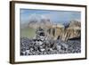 Stone Cairn on Sass Pordoi Mountain in the Dolomites Near Canazei-Martin Child-Framed Photographic Print