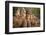 Stone Carved Statues of Devas on the Bridge to Angkor Thom in Angkor Complex, Siem Reap, Cambodia-mazzzur-Framed Photographic Print