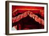 Stone Carving Detail, Red Fort, Delhi, India, Asia-Laura Grier-Framed Photographic Print