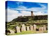 Stone Circle and Chullpa in Sillustani, Puno Region, Peru, South America-Karol Kozlowski-Stretched Canvas