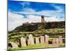 Stone Circle and Chullpa in Sillustani, Puno Region, Peru, South America-Karol Kozlowski-Mounted Photographic Print