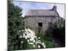 Stone Cottage, Ile d'Ouessant, Finistere, Brittany, France-John Miller-Mounted Photographic Print