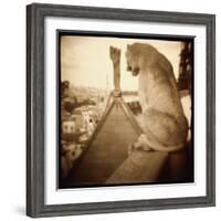 Stone Creature, Notre Dame Cathedral, Paris-Theo Westenberger-Framed Photographic Print