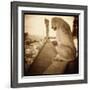 Stone Creature, Notre Dame Cathedral, Paris-Theo Westenberger-Framed Photographic Print