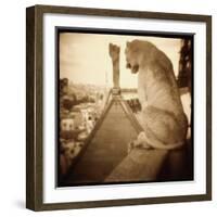 Stone Creature, Notre Dame Cathedral, Paris-Theo Westenberger-Framed Photographic Print