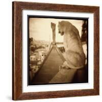 Stone Creature, Notre Dame Cathedral, Paris-Theo Westenberger-Framed Photographic Print