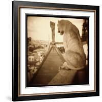 Stone Creature, Notre Dame Cathedral, Paris-Theo Westenberger-Framed Photographic Print