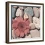 Stone Crop I-Jason Johnson-Framed Photographic Print