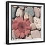 Stone Crop I-Jason Johnson-Framed Photographic Print