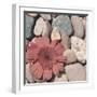 Stone Crop I-Jason Johnson-Framed Photographic Print