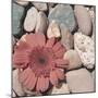 Stone Crop I-Jason Johnson-Mounted Photographic Print