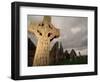 Stone Cross at Monastic Center-Bob Krist-Framed Photographic Print