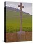 Stone Cross Marking the Grand Cru Vineyards, Romanee Conti and Richebourg, Vosne, Bourgogne, France-Per Karlsson-Stretched Canvas