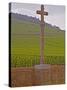 Stone Cross Marking the Grand Cru Vineyards, Romanee Conti and Richebourg, Vosne, Bourgogne, France-Per Karlsson-Stretched Canvas