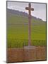 Stone Cross Marking the Grand Cru Vineyards, Romanee Conti and Richebourg, Vosne, Bourgogne, France-Per Karlsson-Mounted Photographic Print