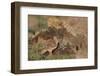 Stone curlew standing among volcanic rocks, Lanzarote-Nick Upton-Framed Photographic Print