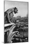 Stone Demon, Notre Dame, Paris, France, C1930S-Donald Mcleish-Mounted Giclee Print