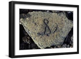 Stone Engraving, Puako Petroglyph Archaeological District, Island of Hawaii, United States-null-Framed Giclee Print