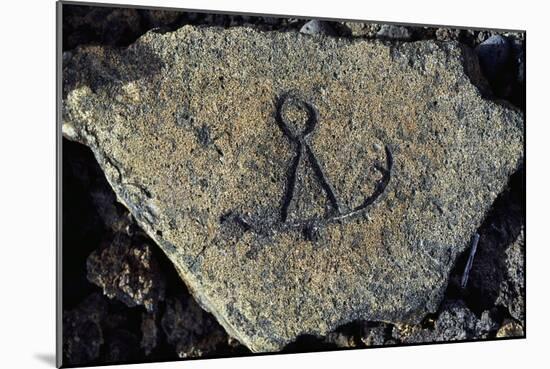 Stone Engraving, Puako Petroglyph Archaeological District, Island of Hawaii, United States-null-Mounted Giclee Print