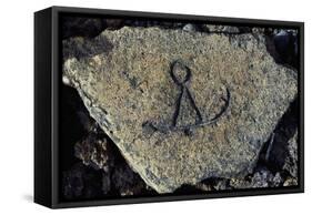 Stone Engraving, Puako Petroglyph Archaeological District, Island of Hawaii, United States-null-Framed Stretched Canvas