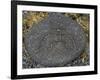 Stone Engraving, Puako Petroglyph Archaeological District, Island of Hawaii, United States-null-Framed Giclee Print