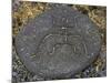Stone Engraving, Puako Petroglyph Archaeological District, Island of Hawaii, United States-null-Mounted Giclee Print