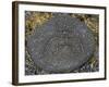Stone Engraving, Puako Petroglyph Archaeological District, Island of Hawaii, United States-null-Framed Giclee Print