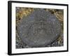 Stone Engraving, Puako Petroglyph Archaeological District, Island of Hawaii, United States-null-Framed Giclee Print