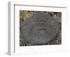 Stone Engraving, Puako Petroglyph Archaeological District, Island of Hawaii, United States-null-Framed Premium Giclee Print