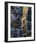 Stone Faces, Which May Depict Jayavarman VII As a Bodhisattva, Bayon Temple, Angkor Thom, Cambodia-null-Framed Photographic Print