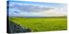 Stone fence along pasture with Sheep grazing, Moray Firth near Brora, Scotland-Panoramic Images-Stretched Canvas