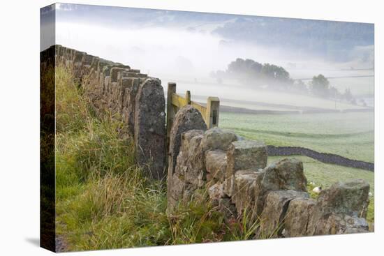 Stone Fence, Burnsall, Yorkshire Dales National Park, Yorkshire, England, United Kingdom, Europe-Miles Ertman-Stretched Canvas