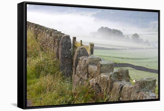 Stone Fence, Burnsall, Yorkshire Dales National Park, Yorkshire, England, United Kingdom, Europe-Miles Ertman-Framed Stretched Canvas