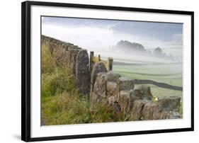 Stone Fence, Burnsall, Yorkshire Dales National Park, Yorkshire, England, United Kingdom, Europe-Miles Ertman-Framed Premium Photographic Print