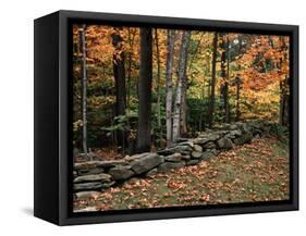 Stone Fence in Vermont, USA-Charles Sleicher-Framed Stretched Canvas