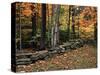 Stone Fence in Vermont, USA-Charles Sleicher-Stretched Canvas