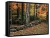 Stone Fence in Vermont, USA-Charles Sleicher-Framed Stretched Canvas