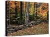 Stone Fence in Vermont, USA-Charles Sleicher-Stretched Canvas