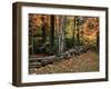 Stone Fence in Vermont, USA-Charles Sleicher-Framed Premium Photographic Print